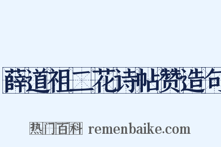 薛道祖二花诗帖赞造句是什么意思的图片